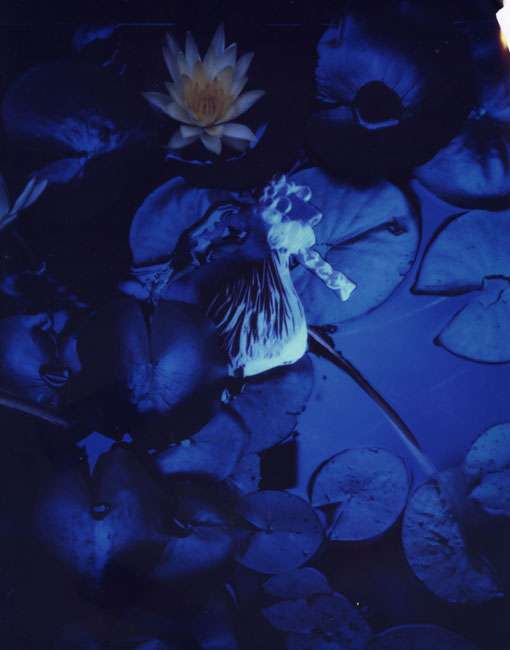 Janaina Tschäpe nca | nichido contemporary art